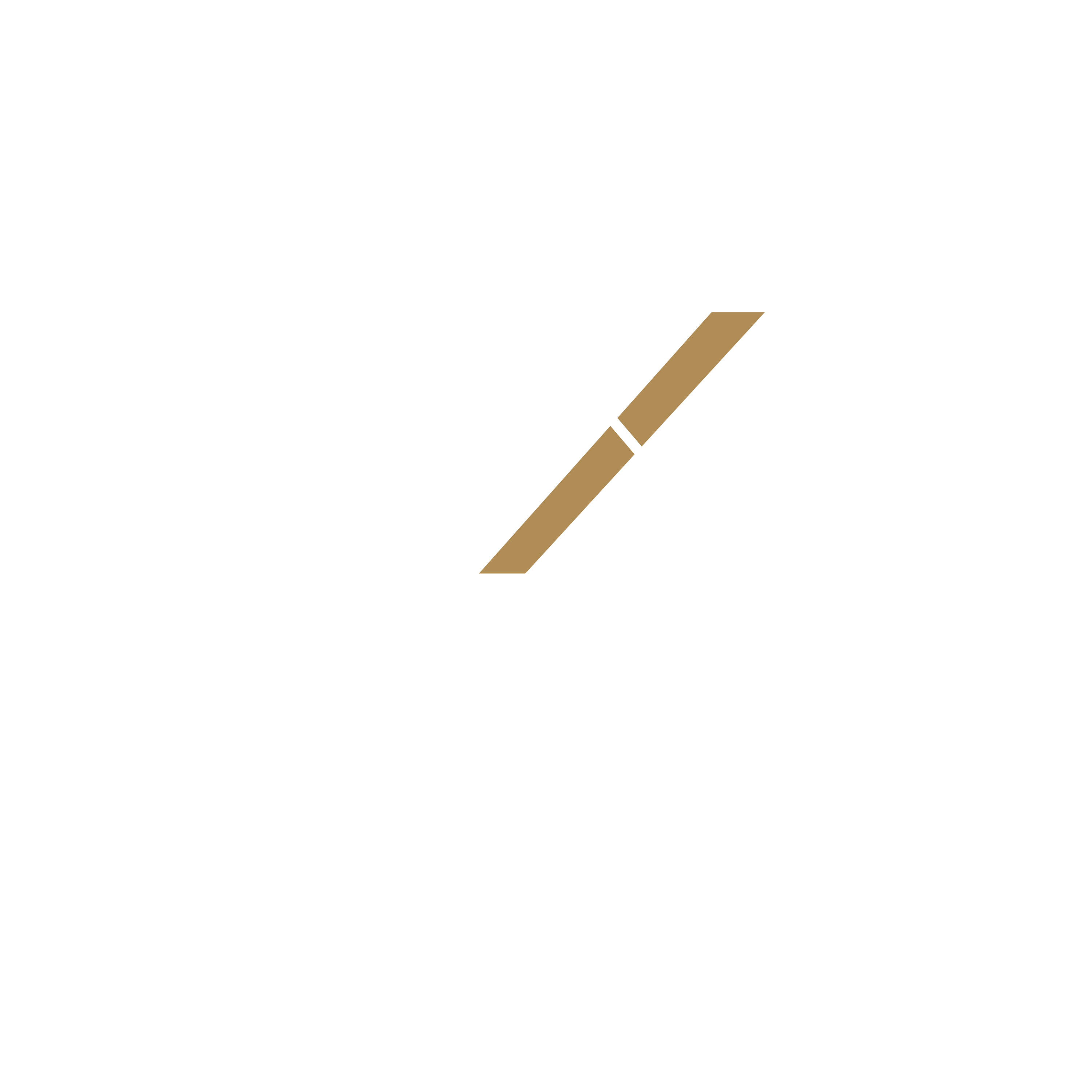 Dexon Advisory Logo White